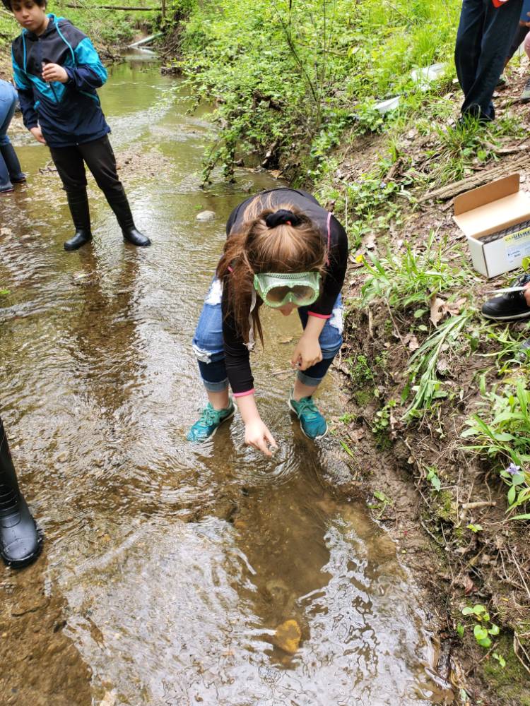 Student stands in stream and grabs sample of water